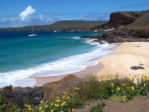 Beach nearby, sun loungers, beach towels