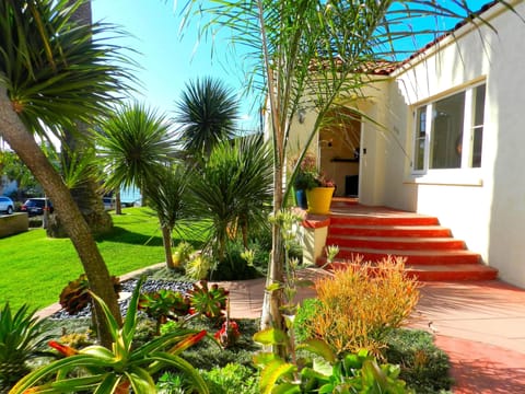 Just steps to the Ocean, less than a one-minute walk to the sand!