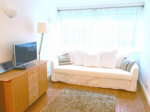 Good quality sofa/sofabed, TV, DVD, unlimited Netflix and wifi, blackout blinds 