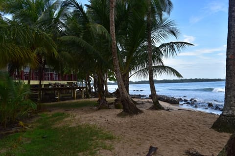 On the beach, sun loungers, beach towels