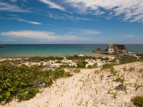 On the beach, sun loungers, beach towels