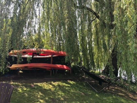 Kayaks and SUPs for your use!