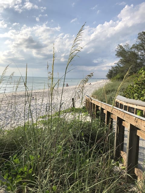 Beach nearby, sun loungers, beach towels