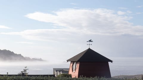 View of the Tower near the back entry gate
