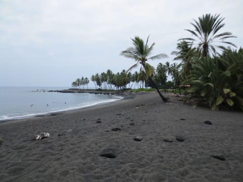 Drive 5 mins to Milolii and then hike in by the yellow church for 20 mins