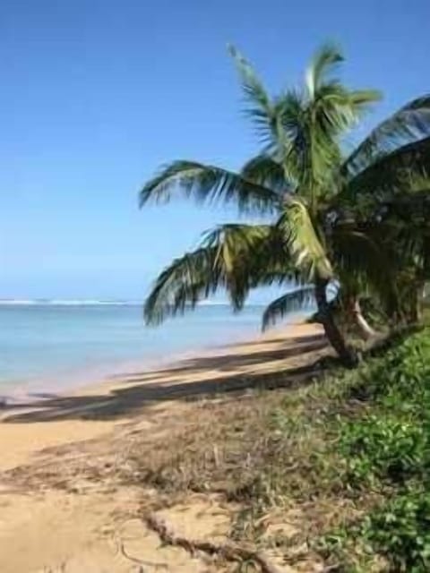 Beach nearby, sun loungers, beach towels