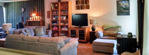 Living area | TV, fireplace, DVD player, books