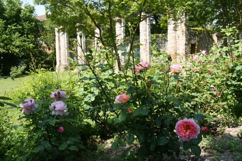 Orangérie in castle's garden near Casa Rambaldo