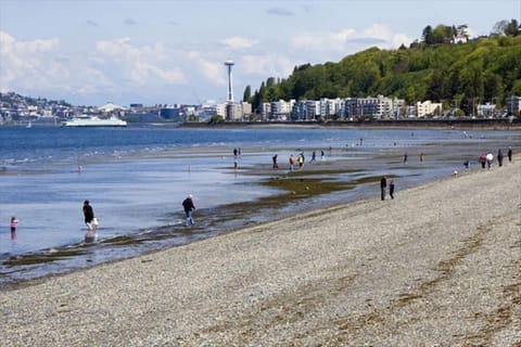 Beach nearby, sun loungers, beach towels