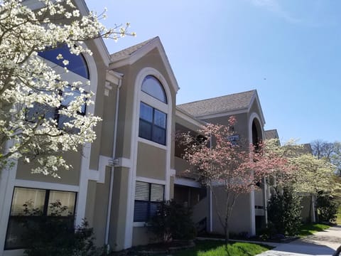 The condo in spring -  beautiful anytime of year.  We love the colorful dogwoods