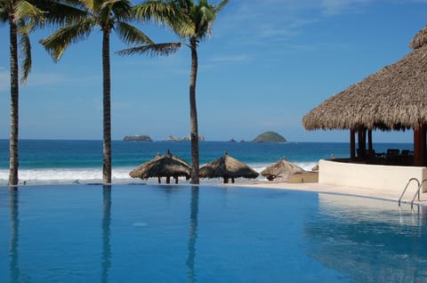 Adult Infinity Pool Overlooking the Private Beach Palapas