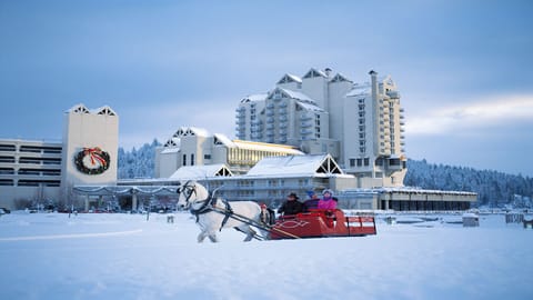 Snow and ski sports