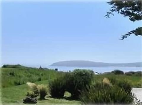 View of Ocean and Bodega Head from rear of property