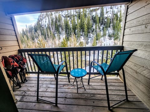 Third floor Deck facing Mt Royal and Bike trail.