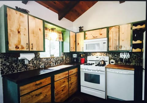 Fun cabin kitchen
