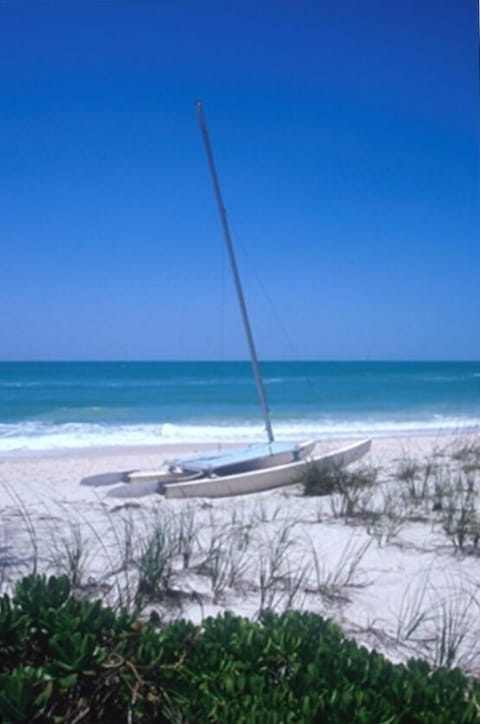 Beach nearby, sun loungers, beach towels