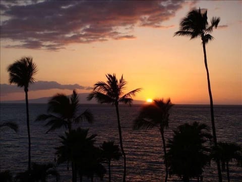 Beach/ocean view