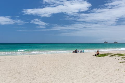 Beach | Sun loungers, beach towels
