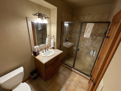 Combined shower/tub, jetted tub, hair dryer, towels