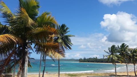 On the beach, sun loungers, beach towels