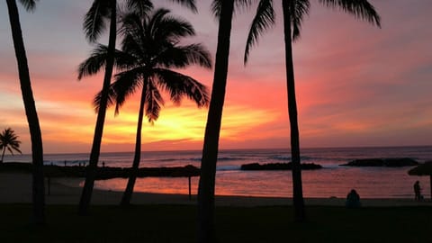 On the beach, sun loungers, beach towels