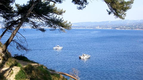 Beach nearby, sun loungers