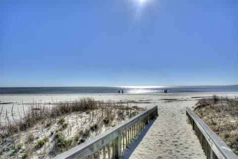 On the beach