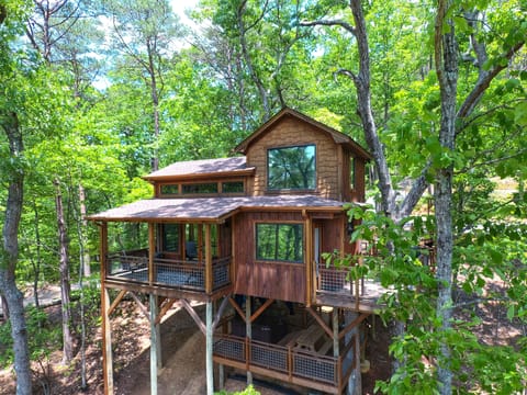 Welcome to Canopy Blue Treehouse!