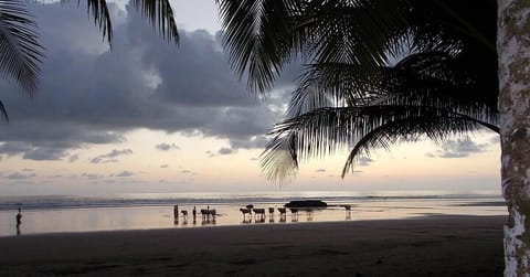 On the beach, sun loungers, beach towels