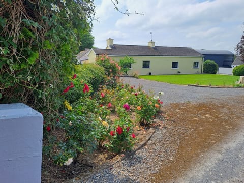 carrigmorefarm -  Old Style Traditional Irish Farmhouse with wifi included free.