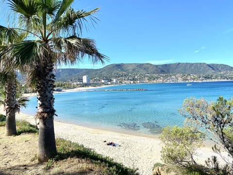 Beach nearby, sun loungers