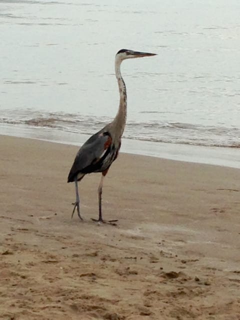 On the beach