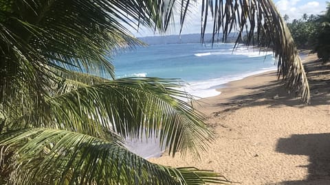 On the beach, sun loungers, beach towels