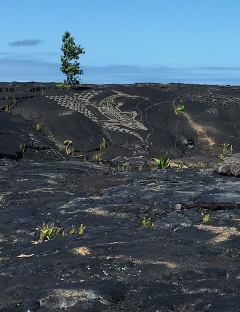 Just two miles to Volcanoes National Park