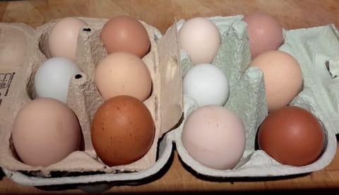 Free range eggs from our chickens, a box is provided in your welcome pack.