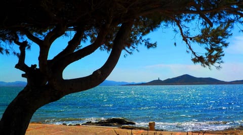 Beach nearby, sun loungers, beach towels