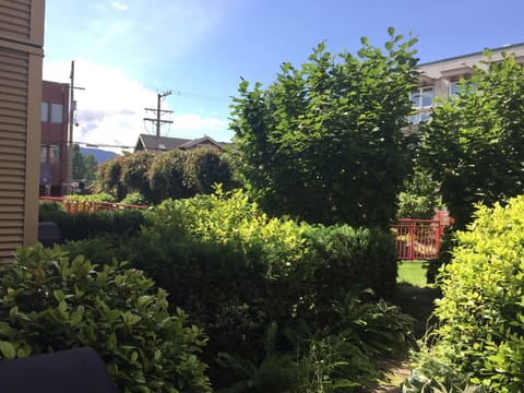 Your view of the courtyard 