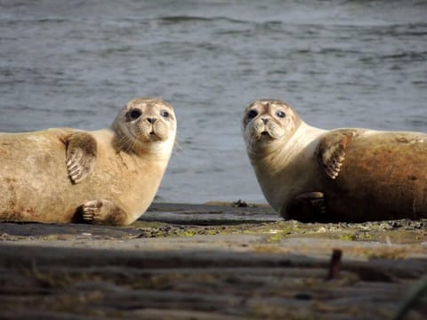 the Slip outside 2 The Noust.