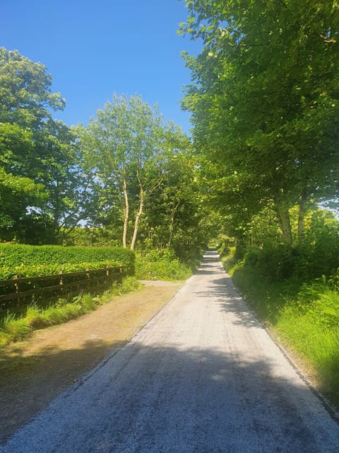 The quiet road leading to Tigh Mhic