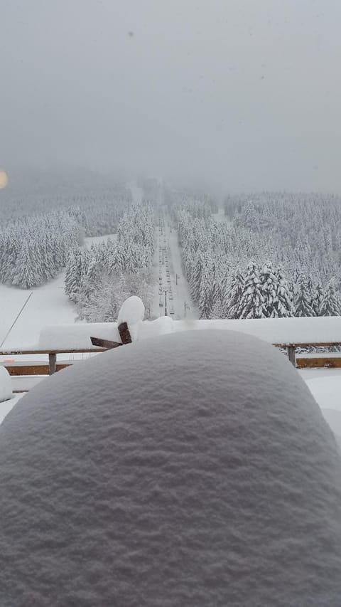 cozy cottage Haut-Doubs, at 1000 m altitude in the heart of the Jura Chalet in Métabief