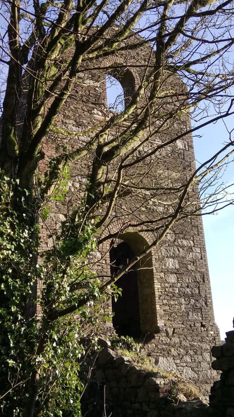 Holmbush Mine, across the rd