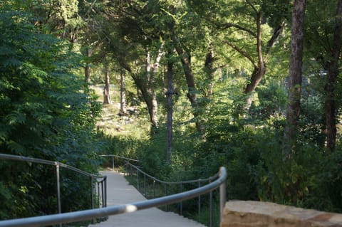 The walk down to the Guadalupe River from the The Village at Gruene Complex.