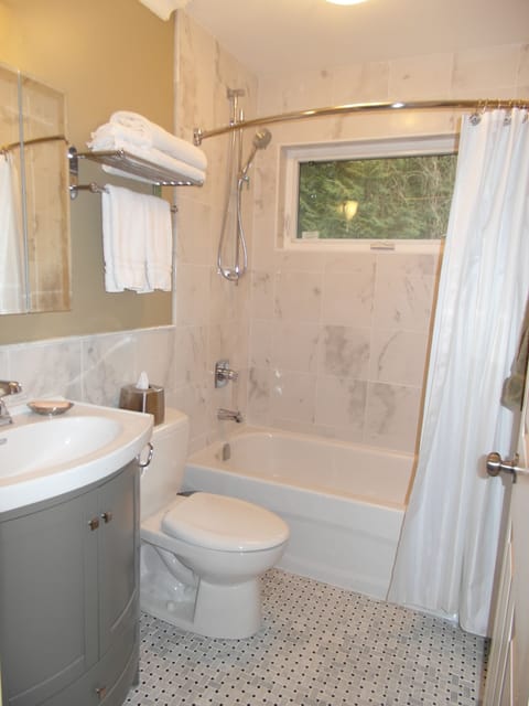 Combined shower/tub, hair dryer, towels, soap