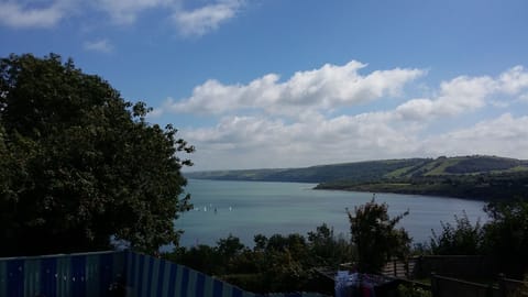 Great views of New Quay Regatta.