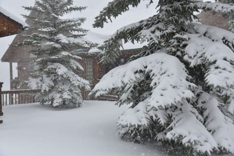 Snowy Outside. Cozy Inside.