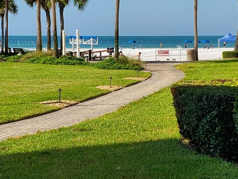 On the beach, sun loungers, beach towels