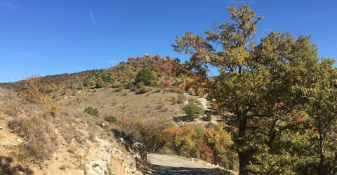 Walking in the area. 