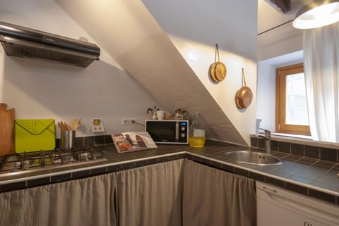 Small fridge, the dishwasher, a microwave oven, a gas stove and a nespresso :)