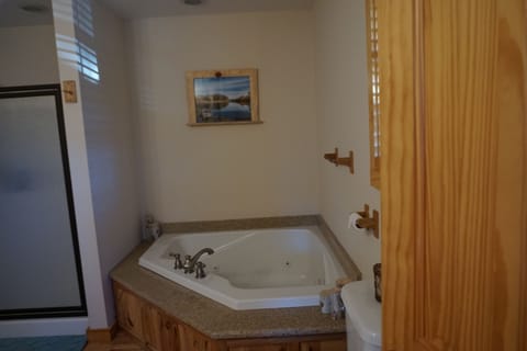 Bathtub, jetted tub, hair dryer, towels