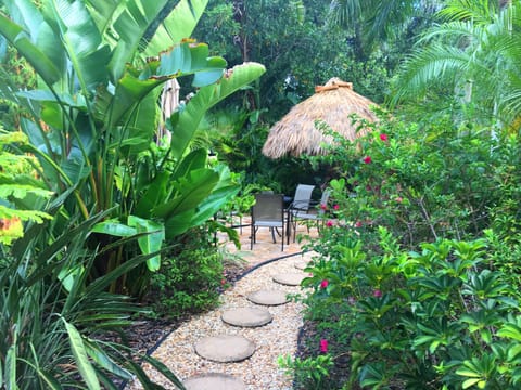 Tropical backyard with Tiki